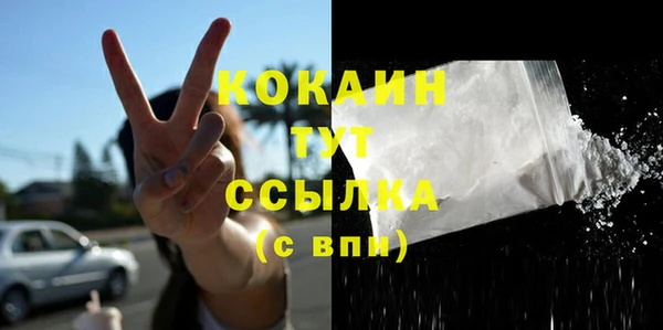 стафф Арсеньев