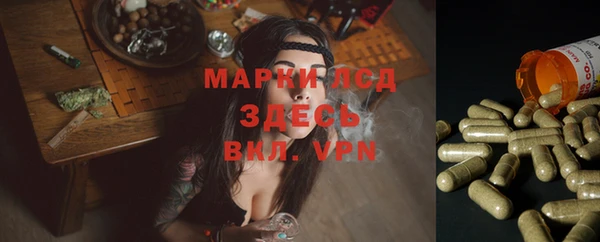 дурь Аркадак