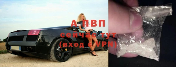 стафф Арсеньев