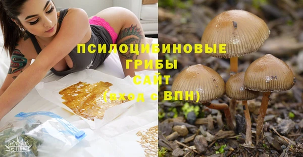 дурь Аркадак