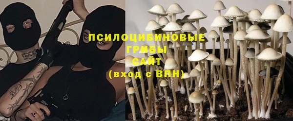 стафф Арсеньев