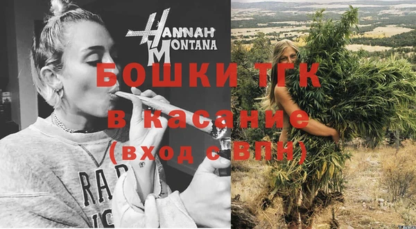 стафф Арсеньев